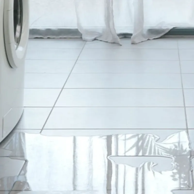 Appliance Leak Cleanup in Nevada City, CA
