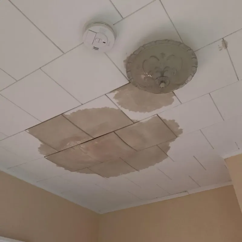 Ceiling Water Damage Repair in Nevada City, CA