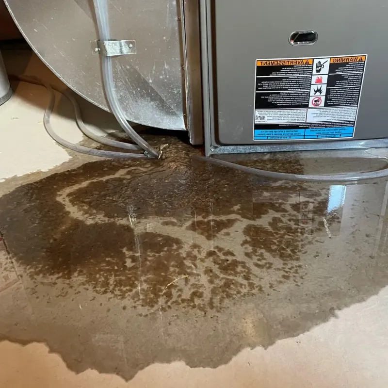 Pipe Burst and Leak Restoration in Nevada City, CA