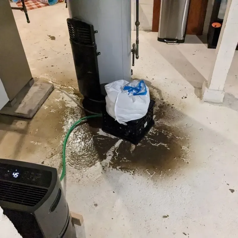 Sewage Backup Cleanup Service in Nevada City, CA